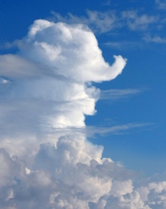 Cloud shapes